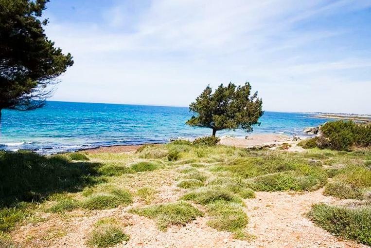 A House Between Ancient Olympia And The Ionian Sea Levendokhórion المظهر الخارجي الصورة