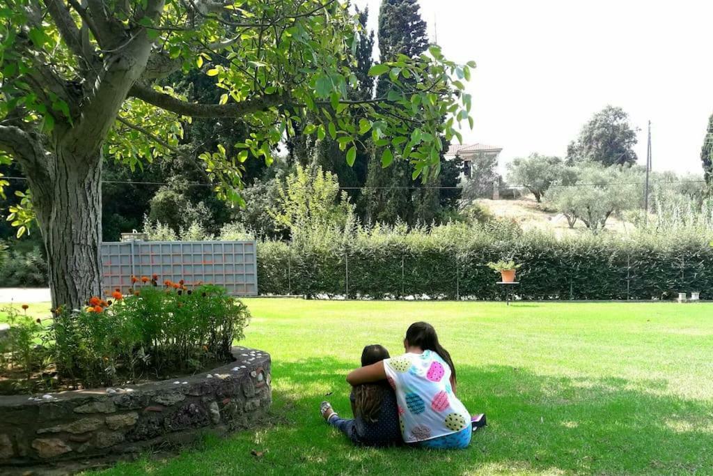 A House Between Ancient Olympia And The Ionian Sea Levendokhórion المظهر الخارجي الصورة