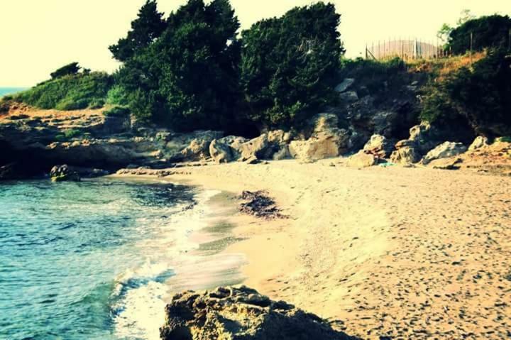 A House Between Ancient Olympia And The Ionian Sea Levendokhórion المظهر الخارجي الصورة